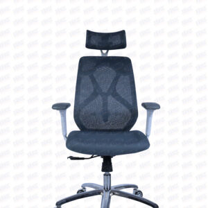 Spine High Back Mesh Revolving Chair CH